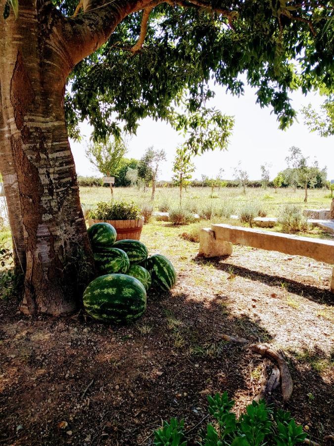 Masseria Cataldo Corigliano dʼOtranto Eksteriør bilde
