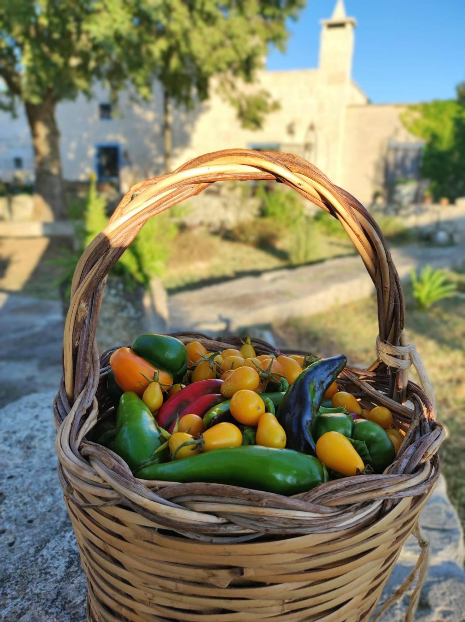 Masseria Cataldo Corigliano dʼOtranto Eksteriør bilde