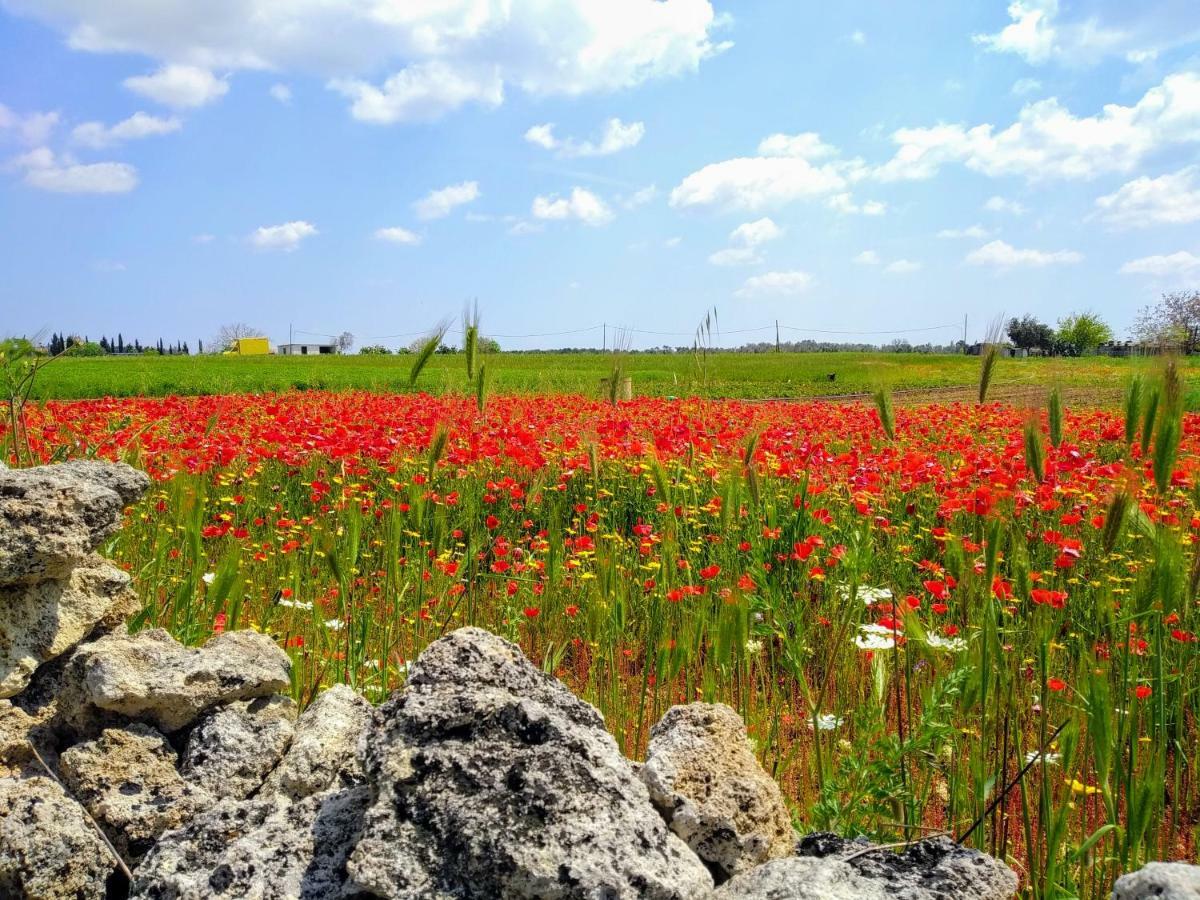 Masseria Cataldo Corigliano dʼOtranto Eksteriør bilde