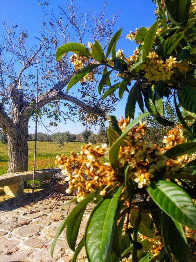 Masseria Cataldo Corigliano dʼOtranto Eksteriør bilde