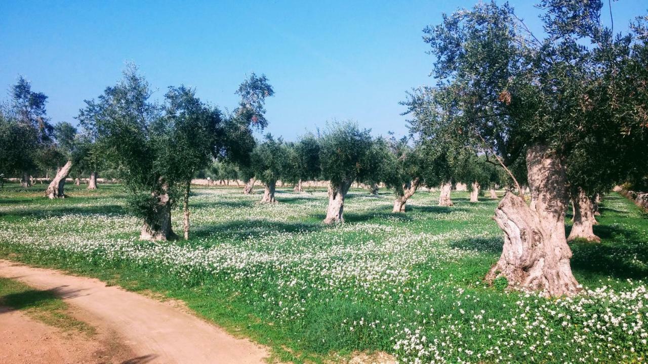 Masseria Cataldo Corigliano dʼOtranto Eksteriør bilde